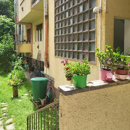شقة - Large And Cozy - Backyard